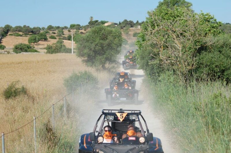 from-east-mallorca-guided-beach-and-mountain-buggy-tour