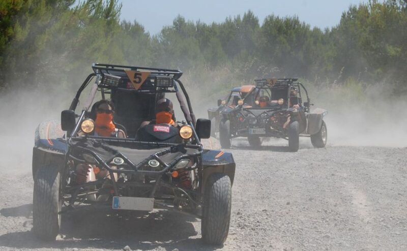from-east-mallorca-guided-beach-and-mountain-buggy-tour