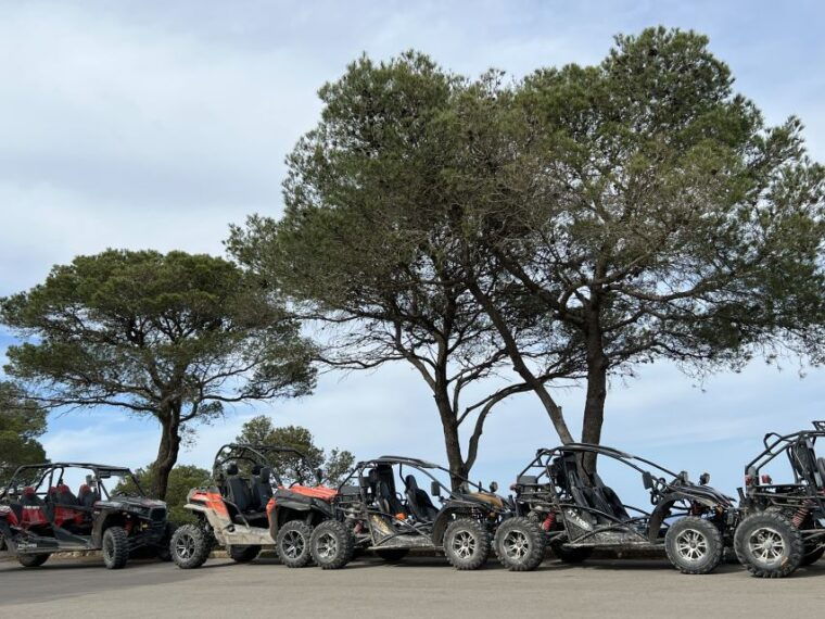 from-east-mallorca-guided-beach-and-mountain-buggy-tour