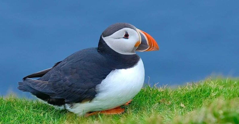 from-edinburgh-6-day-shetland-nothernmost-explorer