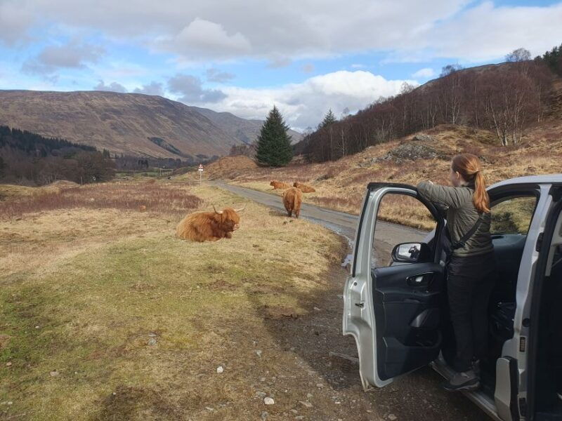 from-edinburgh-a-private-tour-to-a-majestic-highland-glen