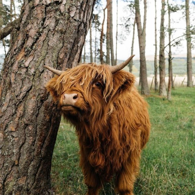 from-edinburgh-glasgow-3-day-isle-of-skye-highland-tour