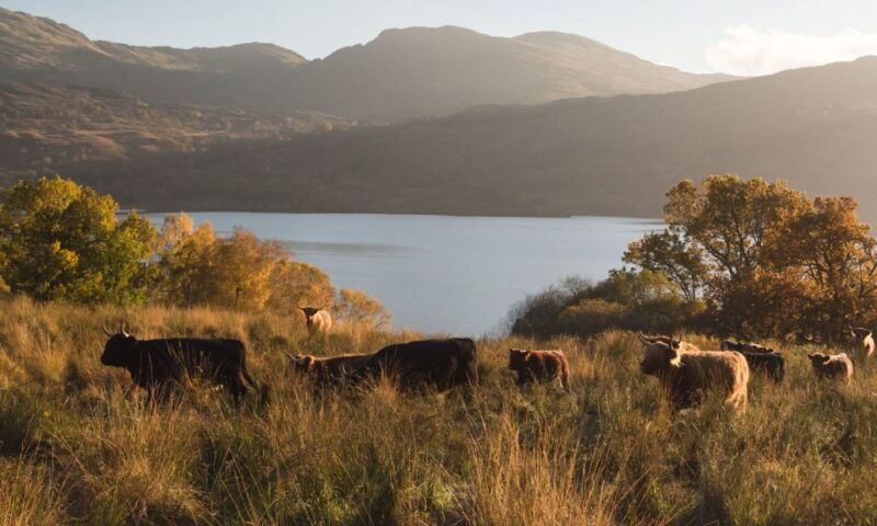 from-edinburgh-glasgow-scottish-lakes-spanish-tour