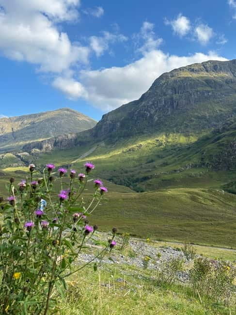 From Edinburgh: Glenfinnan, Fort William and Highland Cows - Frequently Asked Questions