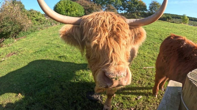 From Edinburgh: Highlands Land Rover Camping Adventure - Key Points