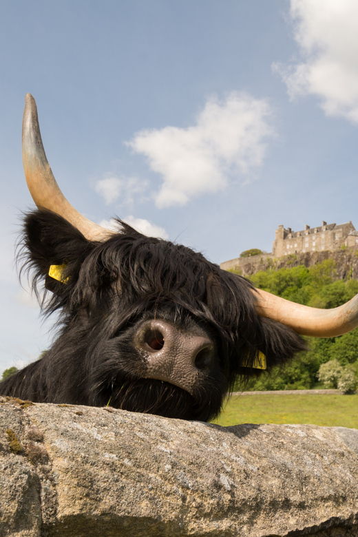 from-edinburgh-loch-lomond-stirling-castle-kelpies-tour