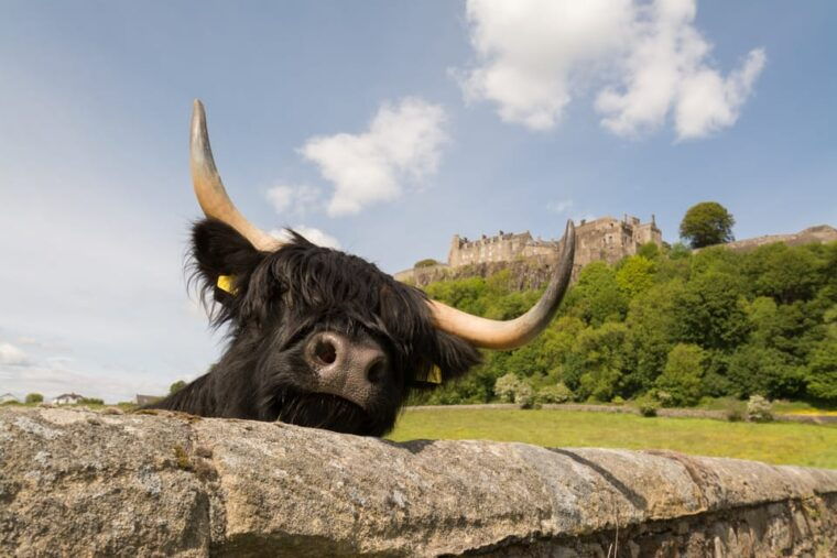 from-edinburgh-loch-lomond-stirling-castle-kelpies-tour