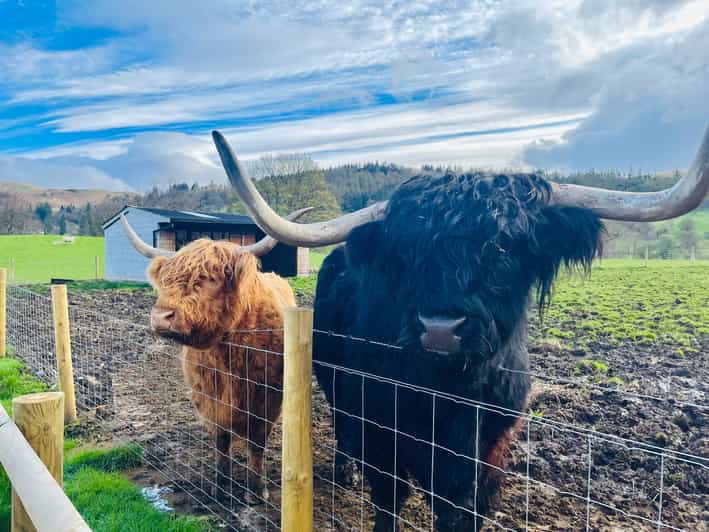 from-edinburgh-loch-ness-glencoe-the-highlands-day-trip