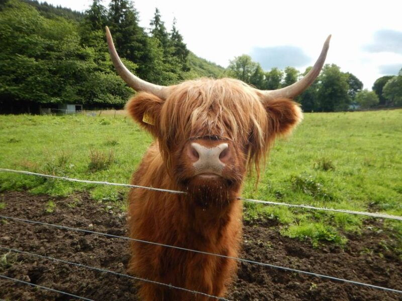 from-edinburgh-scottish-highlands-isle-of-skye-5-day-tour