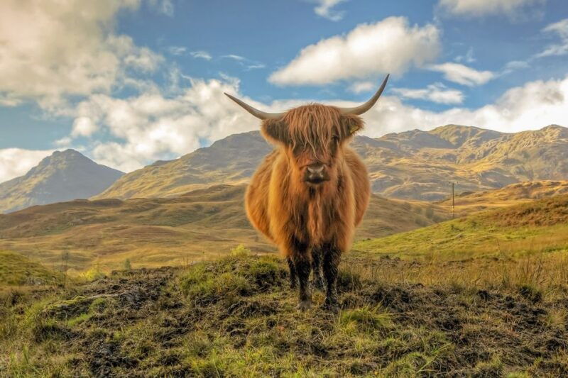 from-edinburgh-stirling-castle-loch-lomond-whisky-tour