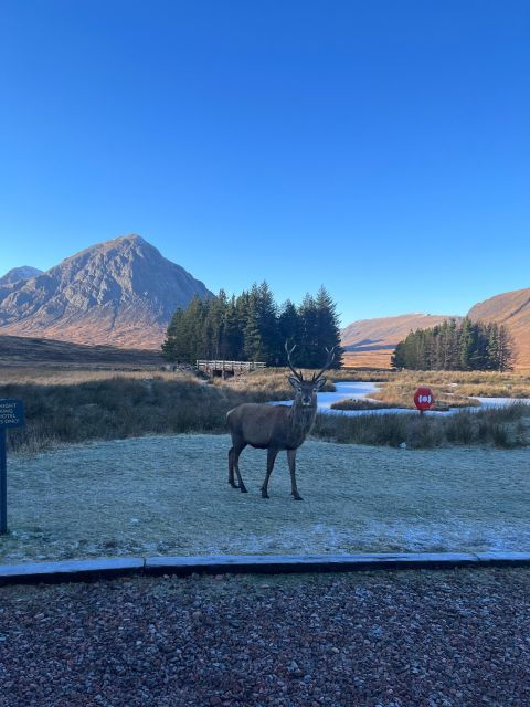 from-edinburgh-the-kelpies-glencoe-loch-lomond-day-tour