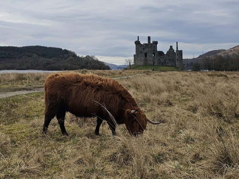 From Edinburgh: West Highlands Luxury Private Day Tour - The Experience: Comfort Meets Adventure