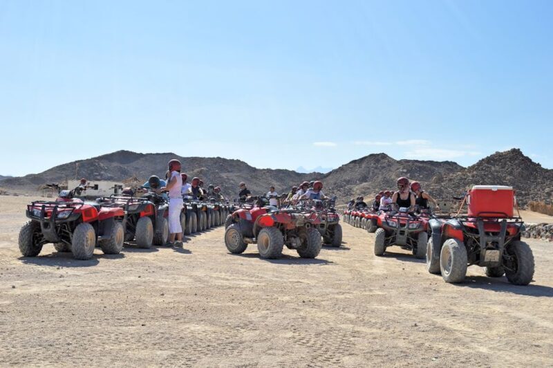 From El Gouna: Dry Canyon Quad Bike Morning Tour - Exploring the Dry Canyon and Beyond