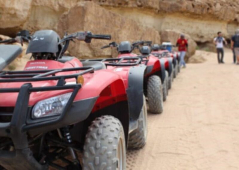 From El Gouna: Dry Canyon Quad Bike Morning Tour - Who Will Love This Tour?