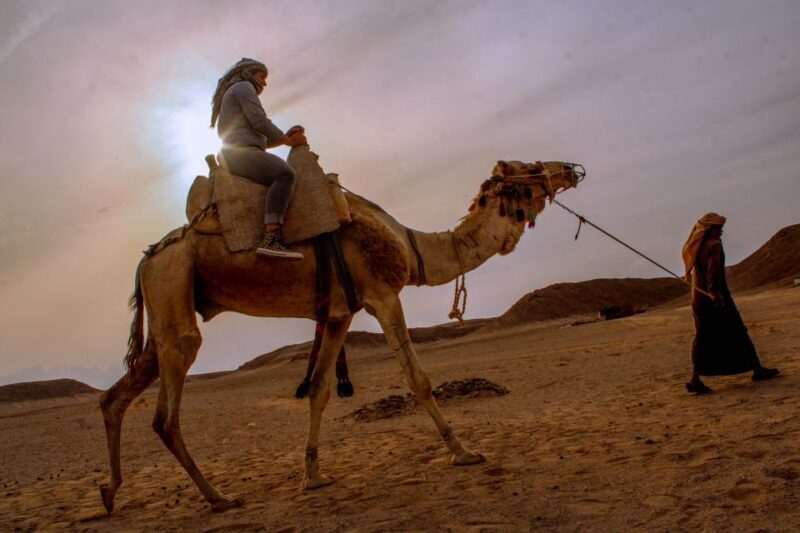 From El Gouna: Dry Canyon Quad Bike Morning Tour - Final Thoughts