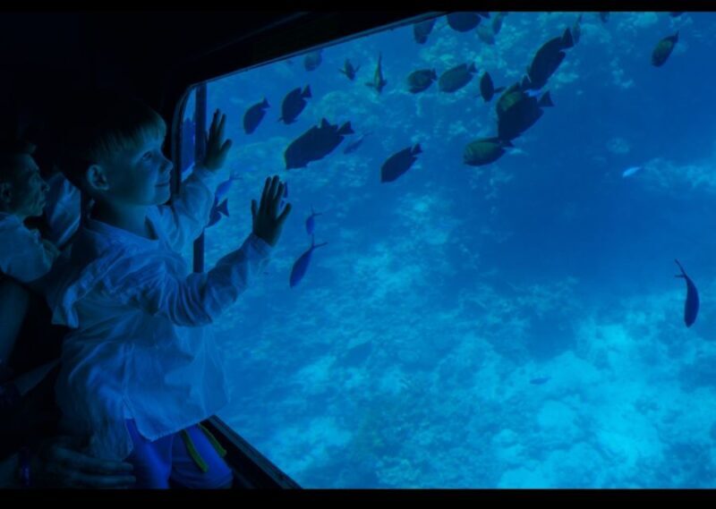 From El Gouna: Royal Seascope Submarine with Snorkel Stop - Key Points