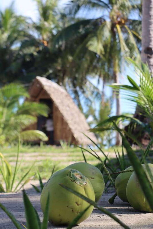 from-el-nido-to-coron-3-day-2-night-island-hopping-tour