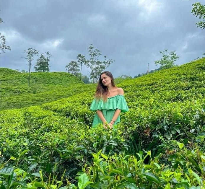 from-ella-all-inclusive-day-tour-uncover-hidden-gems