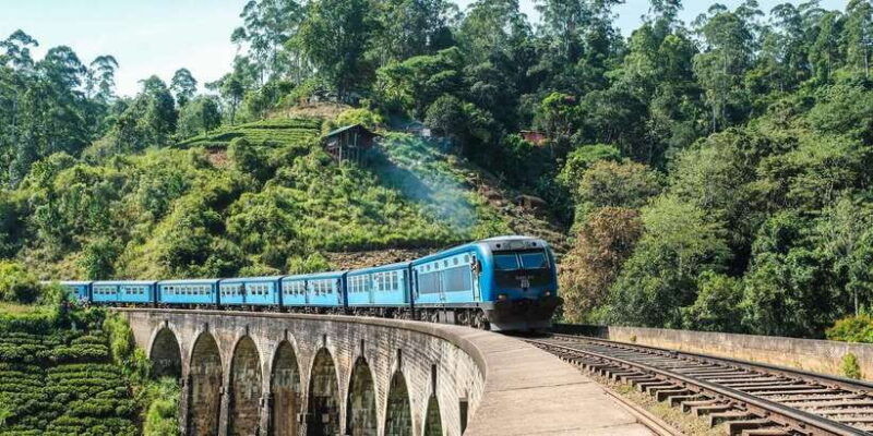 from-ella-all-inclusive-day-trip-of-8-iconic-sights-train