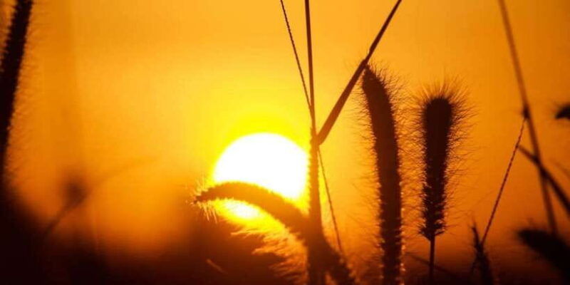 from-ella-all-inclusive-day-trip-to-experience-ella-peaks