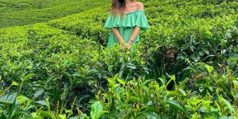 from-ella-all-inclusive-day-trip-to-experience-ella-peaks