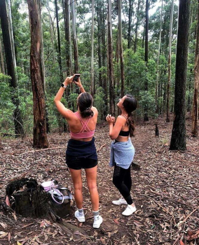 from-ella-all-inclusive-day-trip-to-experience-ella-train