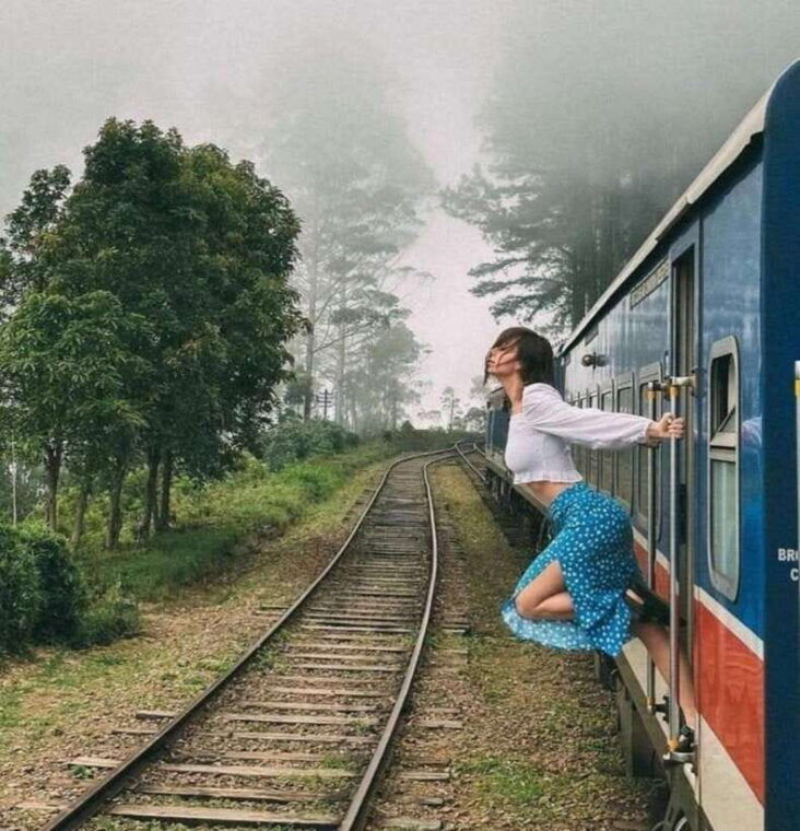 from-ella-all-inclusive-day-trip-to-experience-ella-train