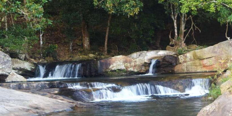 from-ella-diyaluma-waterfall-natural-pool-bath-with-lunch