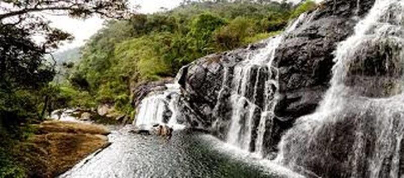 from-ella-horton-plains-national-park-nuwaraeliya-tour
