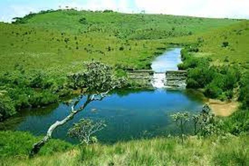 from-ella-horton-plains-national-park-nuwaraeliya-tour