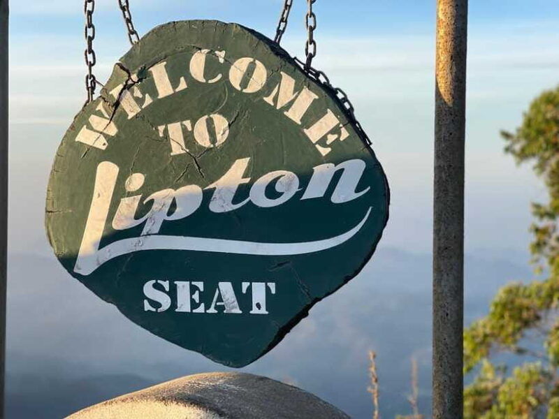 from-ella-lipton-seat-dambatenne-tea-factory-day-tour