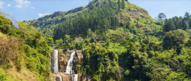 from-ella-nuwara-eliya-tea-factory-and-plantation-tour