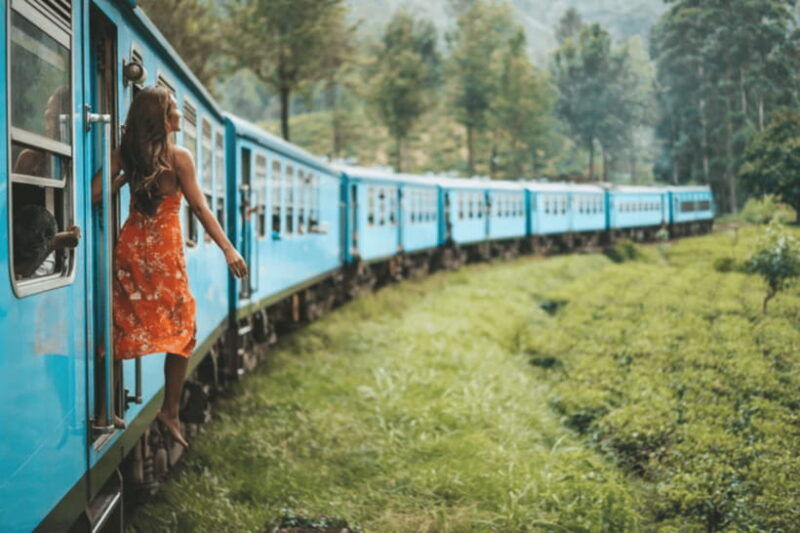 from-ella-nuwara-eliya-tea-factory-and-plantation-tour