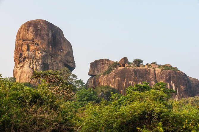 From Ella: Private Yala Safari & Transfer/Tangalle/Mirissa/Galla - Booking, Pricing, and Practical Tips