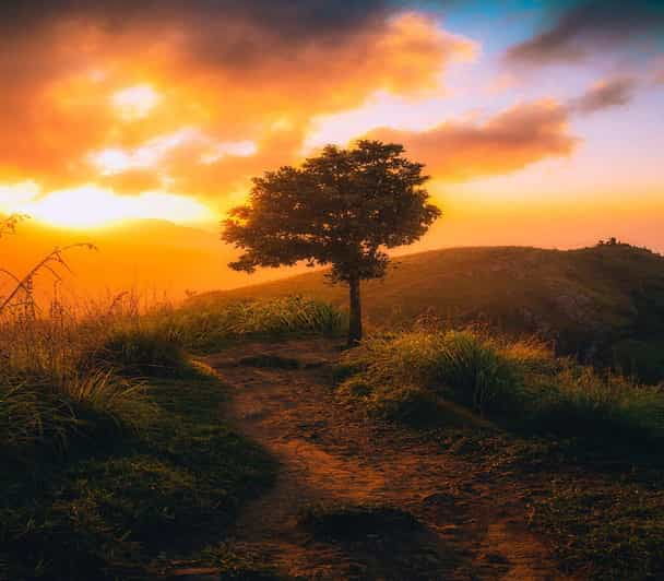 from-ella-sunrise-adventure-little-adams-peak-expedition