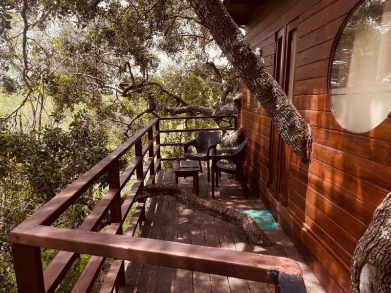 From Ella to Yala National Park Safari with Tree House Stay - Sunset Beach BBQ: A Peaceful End