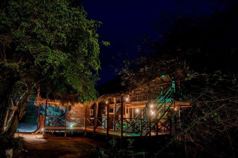 From Ella to Yala National Park Safari with Tree House Stay - Who Is This Tour Best Suited For?