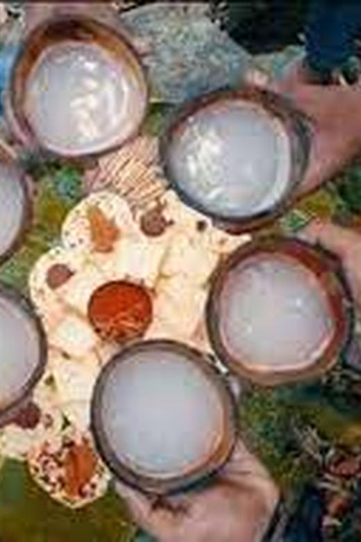 from-ella-toddy-kithul-raa-experience-in-ellas-village