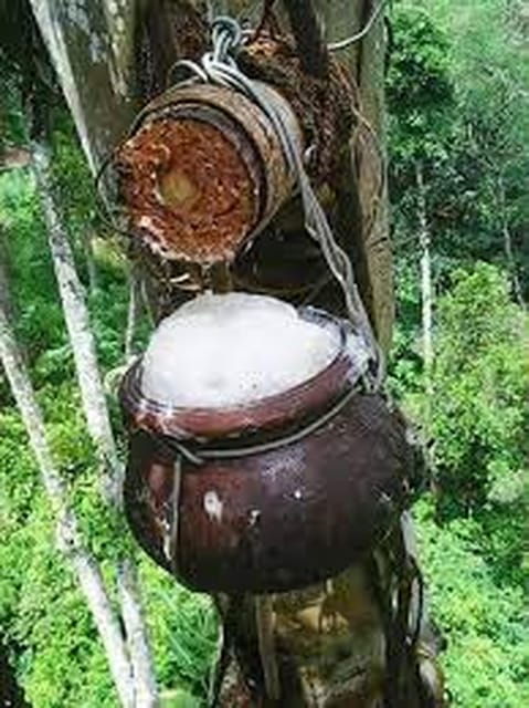 from-ella-toddy-kithul-raa-experience-in-ellas-village