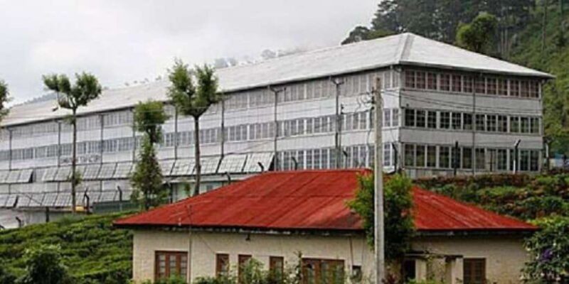 from-ella-tuk-tuk-tea-adventure-liptons-seat-excursion