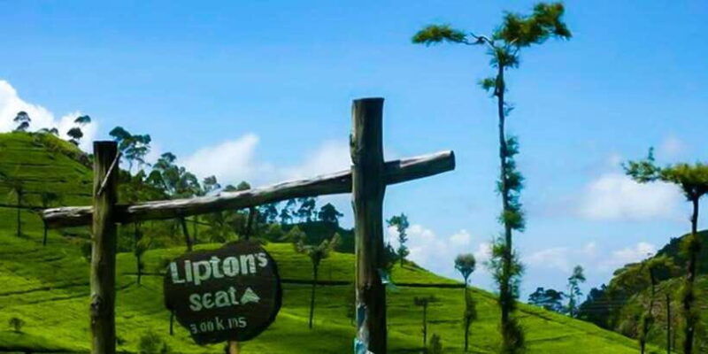 from-ella-tuk-tuk-tea-adventure-liptons-seat-excursion