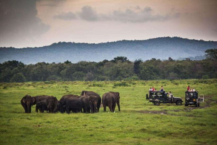 from-ella-udawalawa-safari-and-tangalle-hiriketiya-transfer