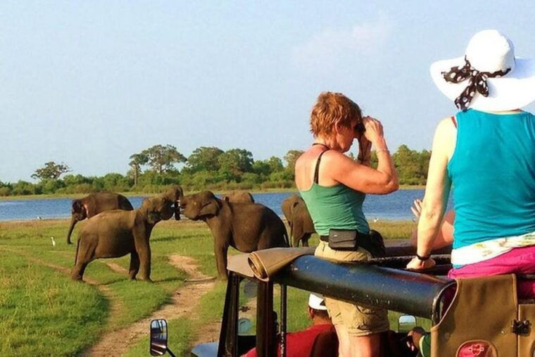 from-ella-udawalawa-safari-elephant-transit-home-tour