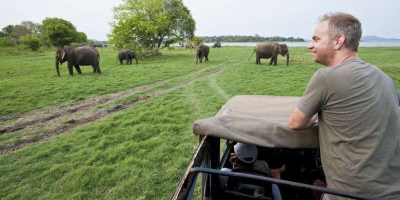 from-ella-udawalawe-safari-with-elephant-transit-home