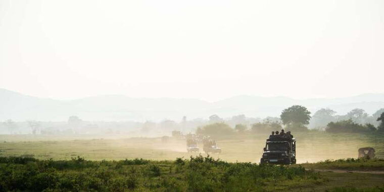 from-ella-udawalawe-safari-with-elephant-transit-home-visit