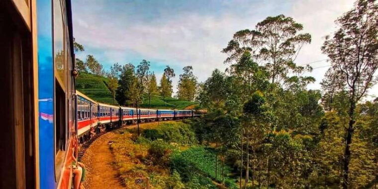 from-ella-unforgettable-day-trip-of-8-sights-train