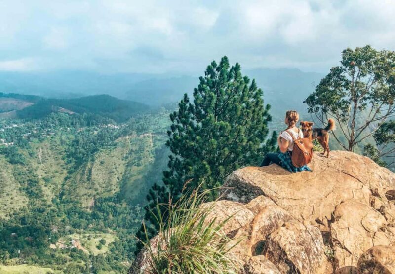 From Ella : Waterfalls, Nine Arch Bridge, Little Adam's Peak - Transportation and Timing