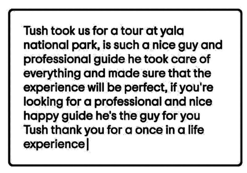 From Ella: YALA National park safari tour with Return - Key Points