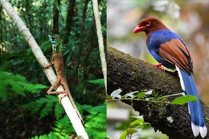 From: Ella - YALA Safari - Drop off: Arugam Bay / Arugambay - FAQ