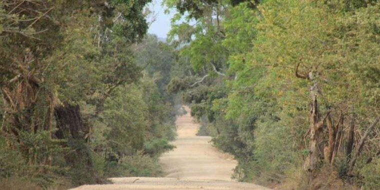 from-ella-yala-safari-drop-off-arugam-bay-arugambay